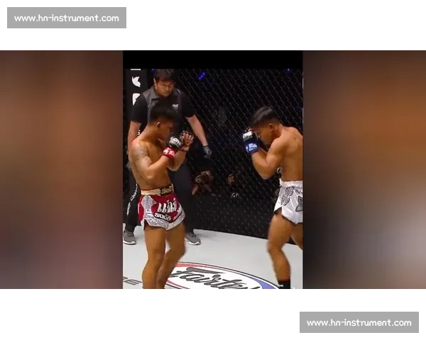 穆斯里穆与播求激战再起 泰拳与综合格斗的巅峰对决